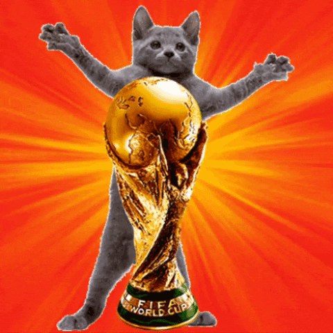 Nos encantan los GIFs - Copa Mundial 2022